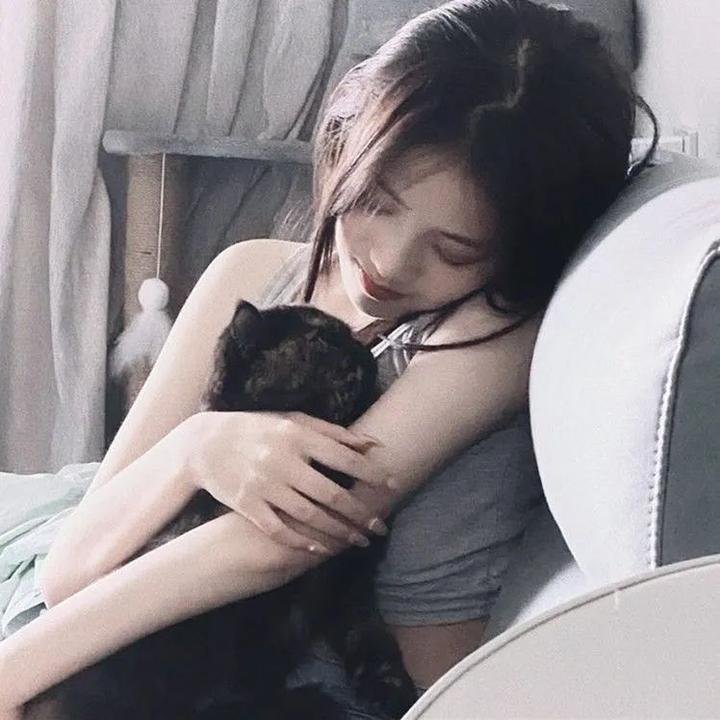 战火中的小狐狸海报